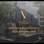 project-primary-v-update-july